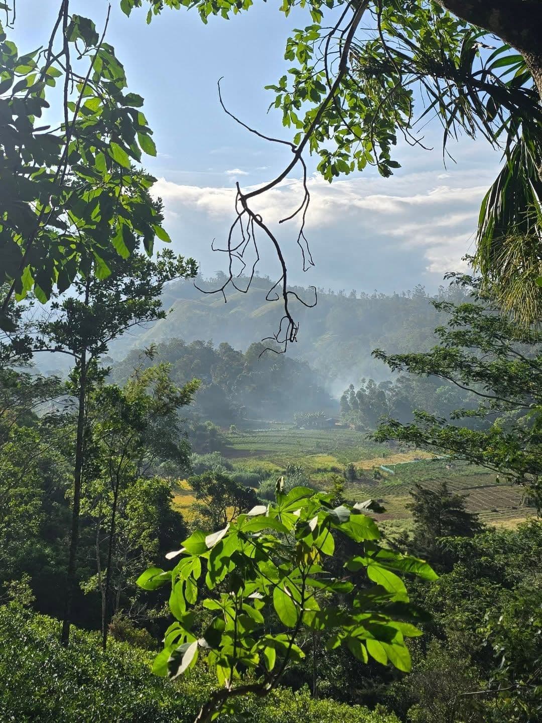 Bandarawela