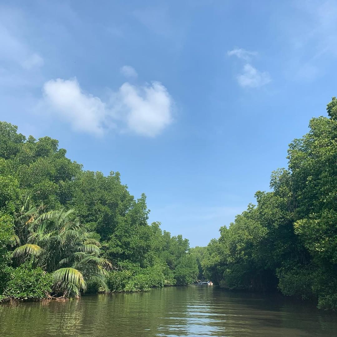 Bentota River with golden sand and clear waters