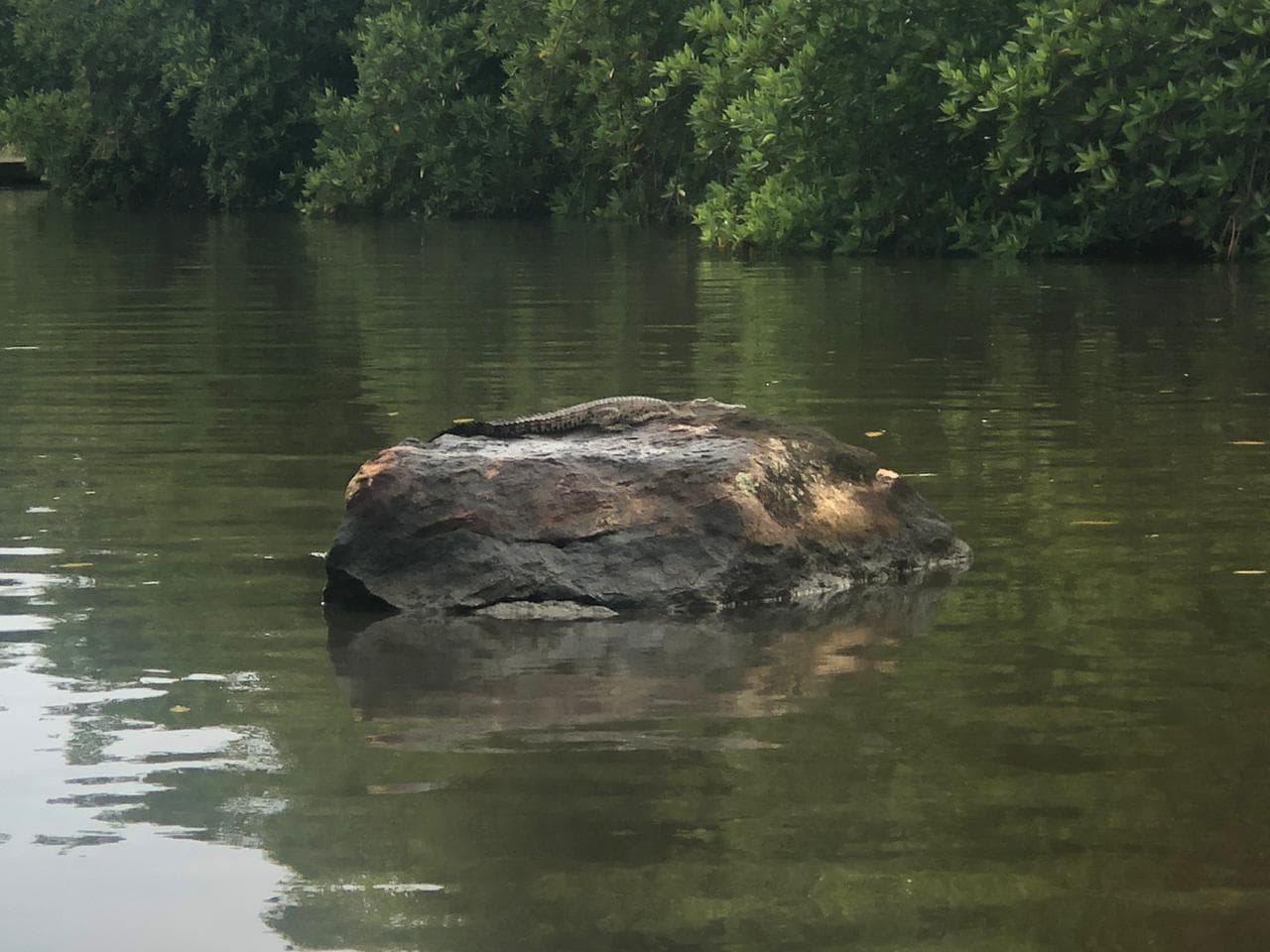 Bentota River with golden sand and clear waters