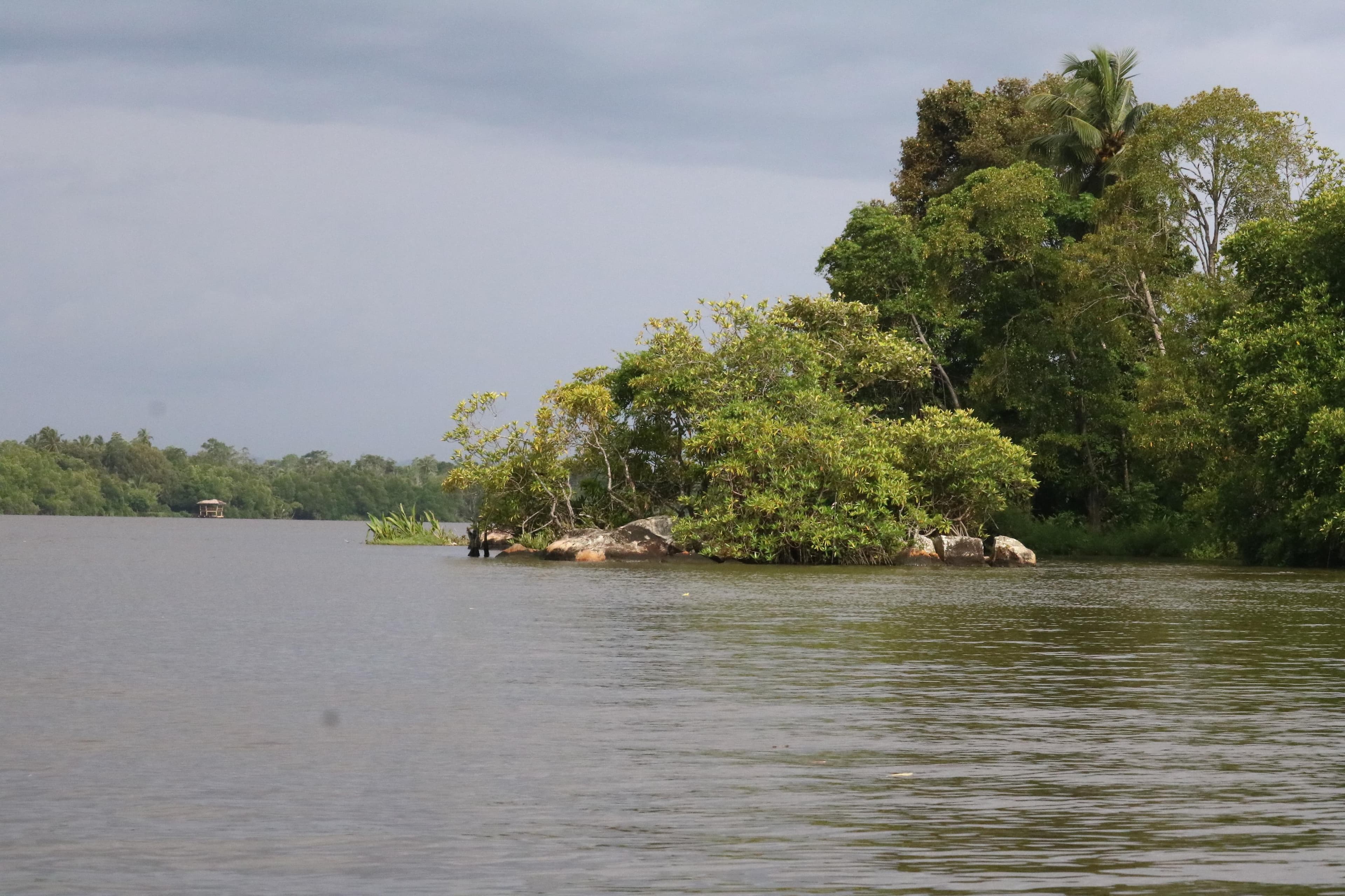 Bentota River with golden sand and clear waters