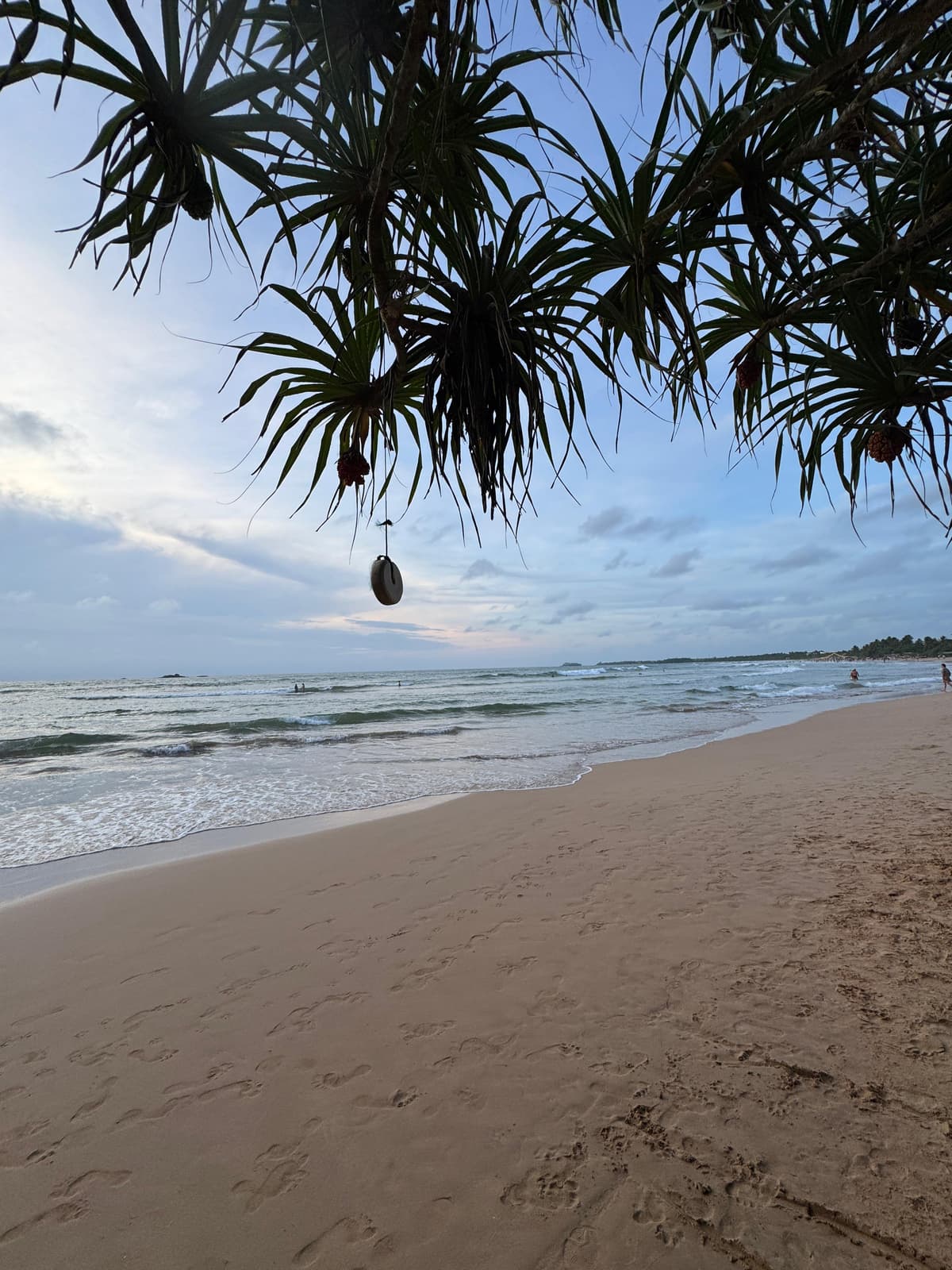 Bentota
