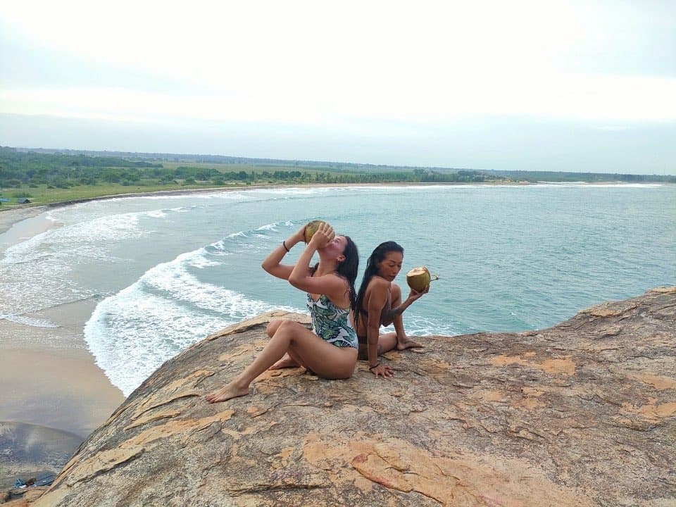 Elephants near Elephant Rock formation in Arugambay