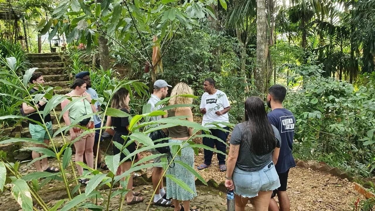 Ella Spice Garden with lush greenery and spice plants