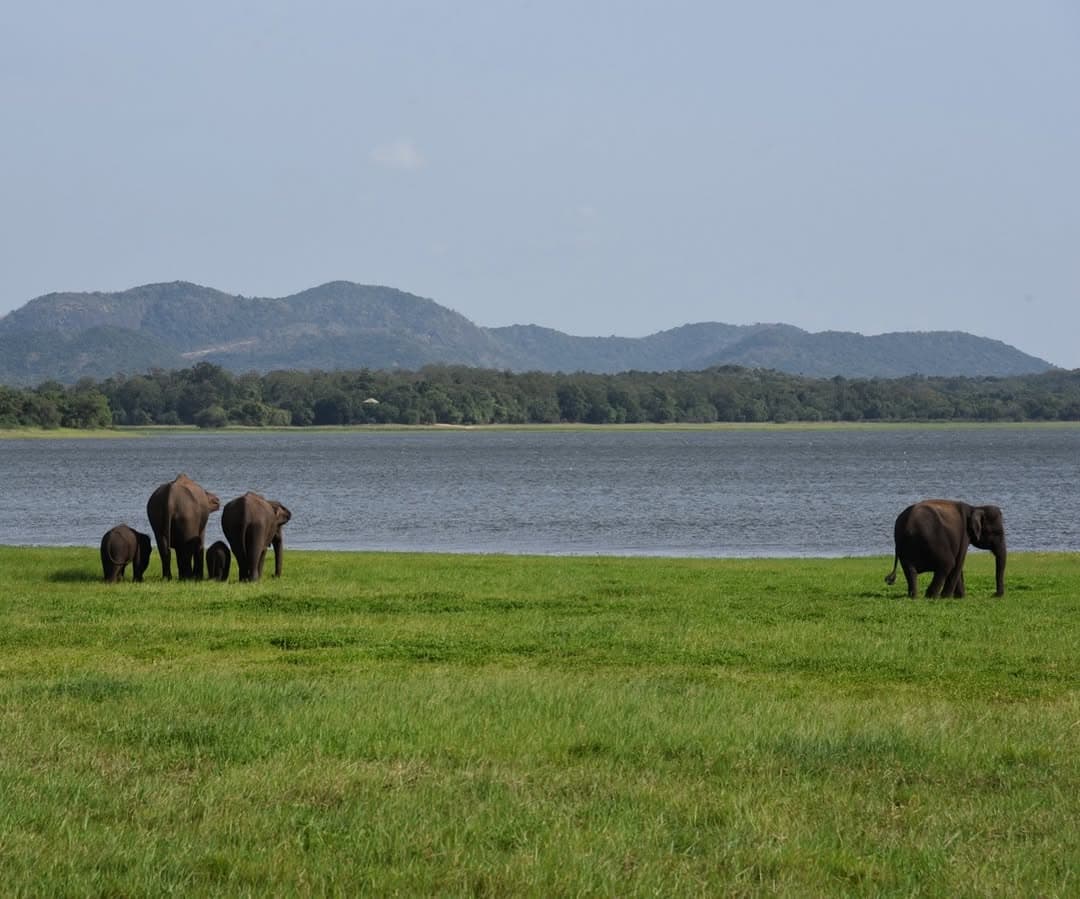 Habarana town entrance sign
