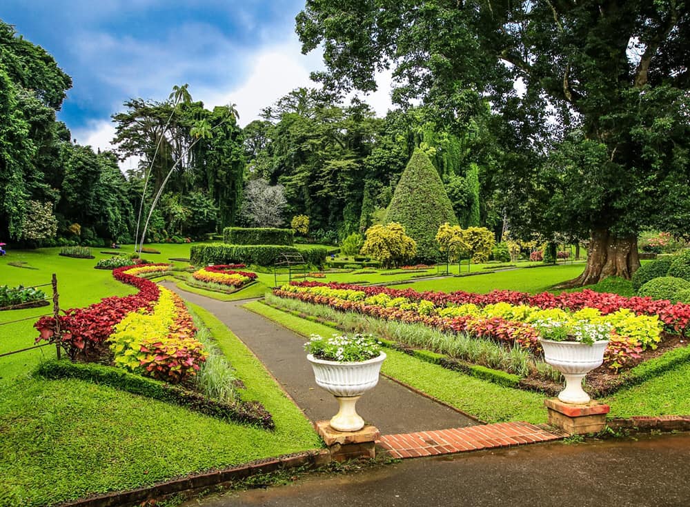 Ashok Vatika (Hakgala Garden) - Nuwara Eliya