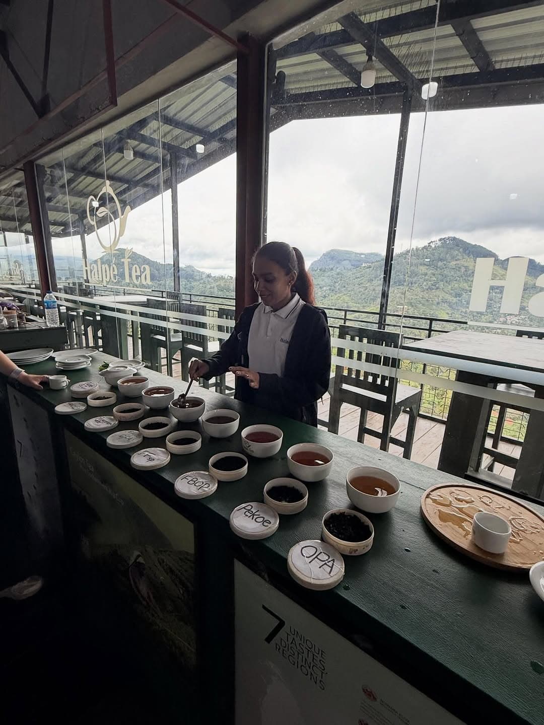 Tea processing machinery at Uva Halpewatte Tea Factory with workers processing Ceylon tea leaves