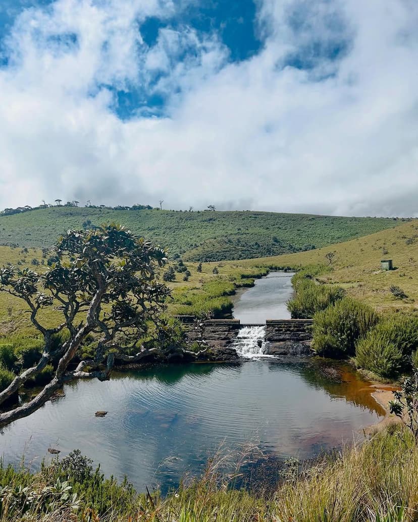 Horton Plains National Park showcasing the stunning landscapes, unique flora, and fauna - Image 1