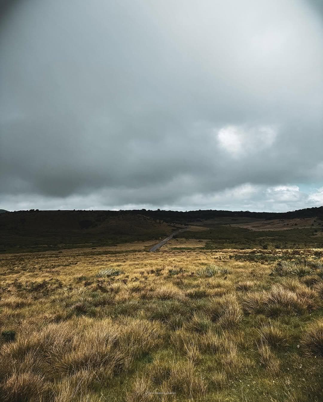 Horton Plains National Park showcasing the unique montane ecosystem and scenic landscapes