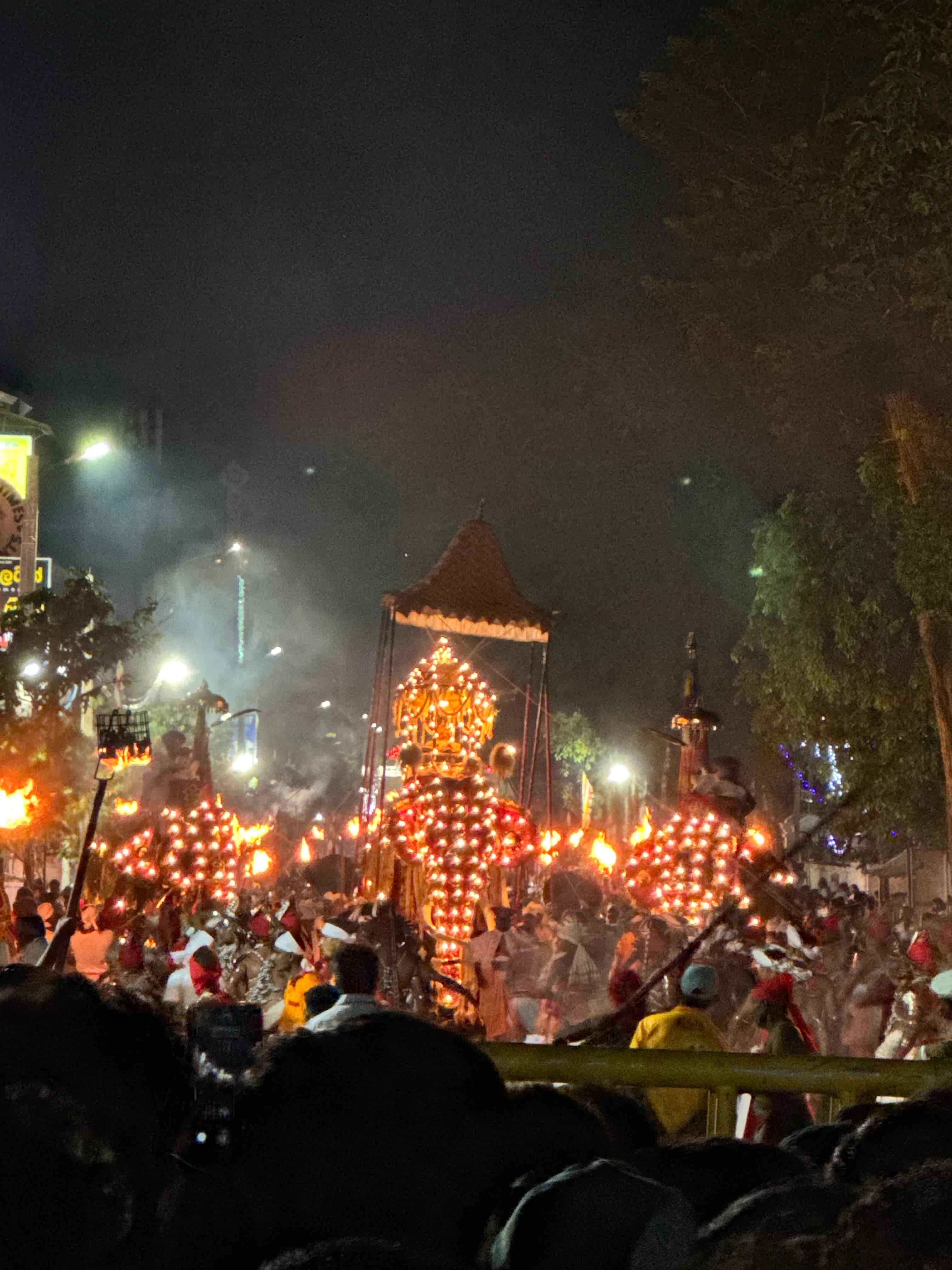Kandy Esala Perahera festival procession with magnificently decorated elephants, traditional dancers, and thousands of devotees under colorful lights