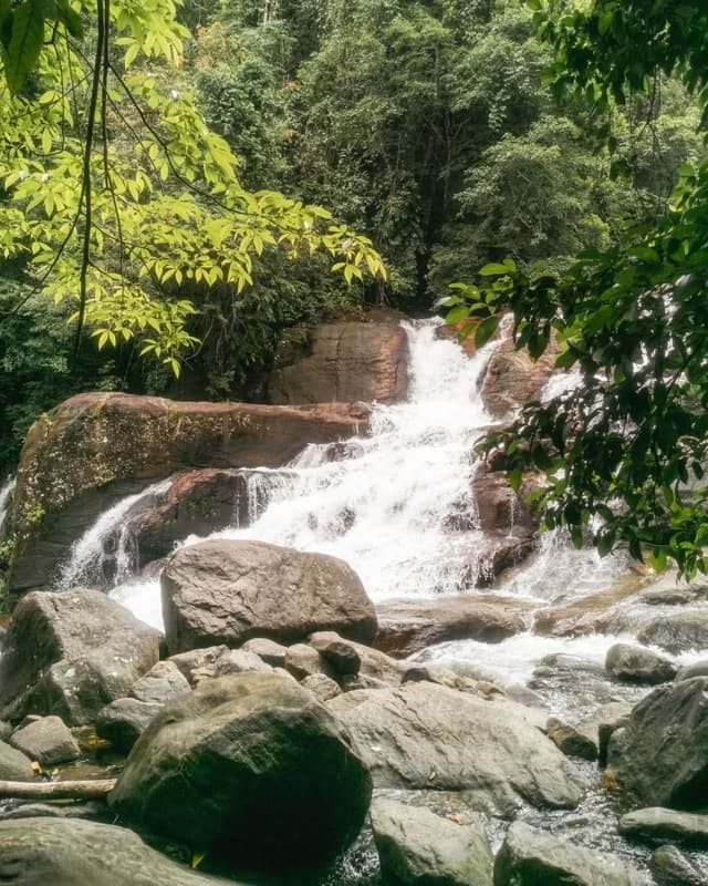 View of Kanneliya