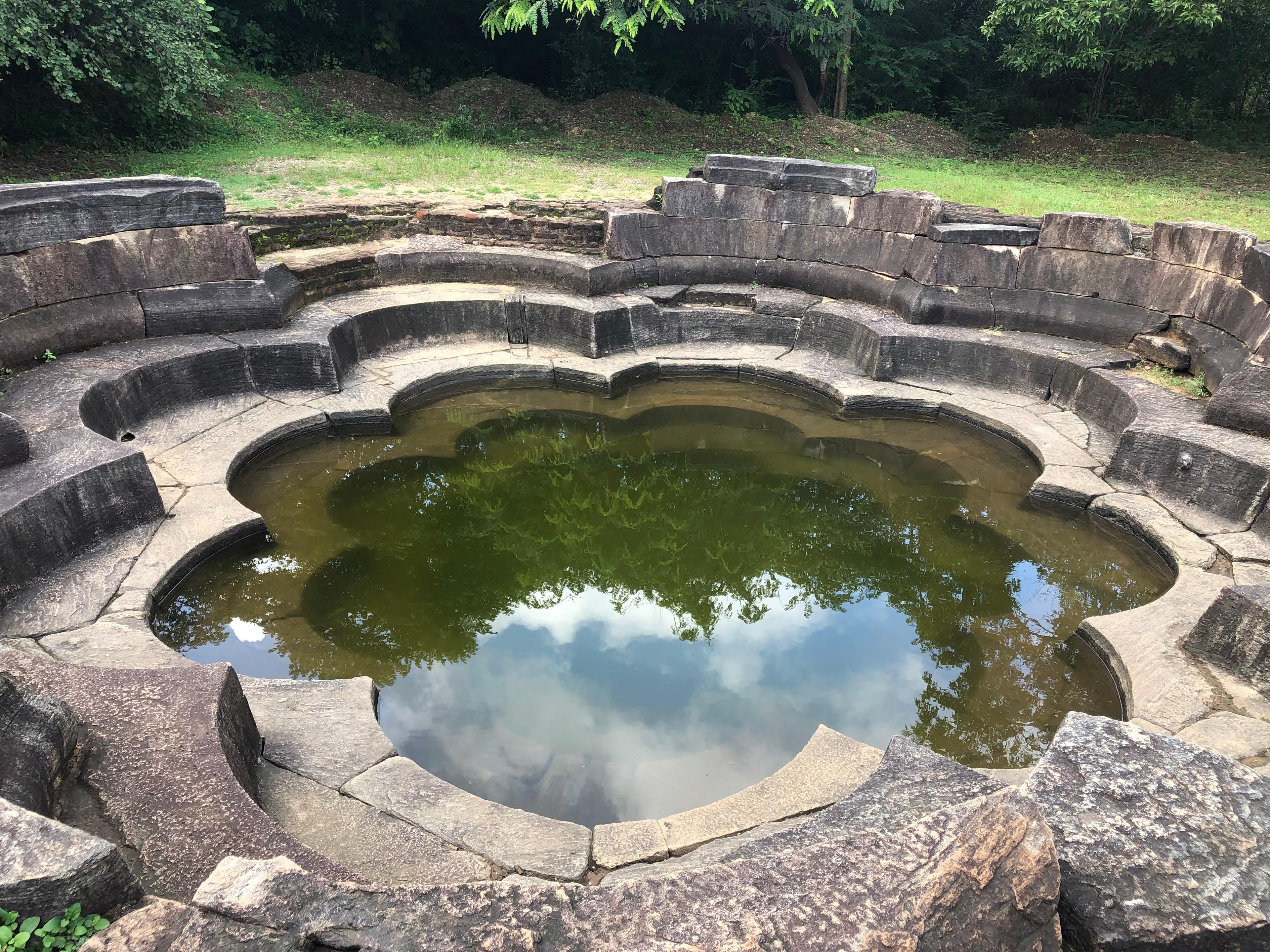 Aerial view of the Lotus Pond