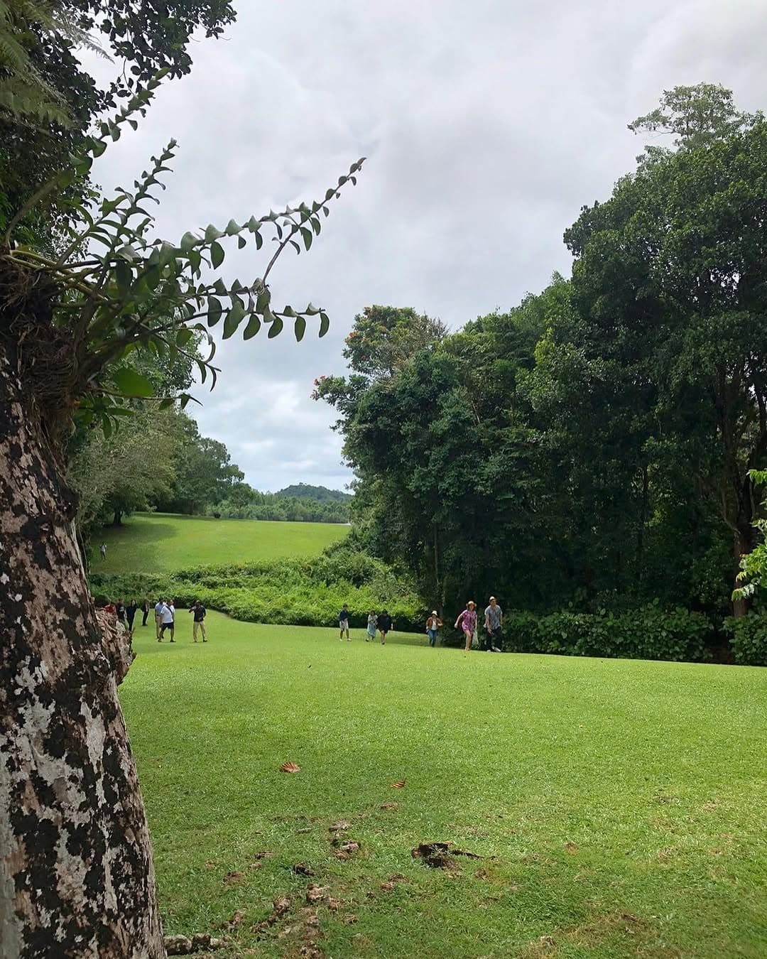 Geoffrey Bawa working on garden plans at Lunuganga