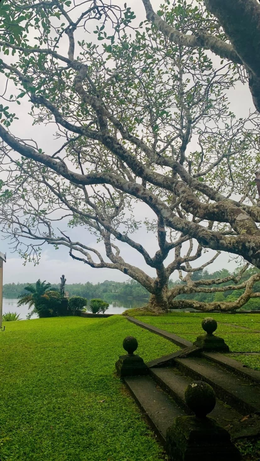 Lunuganga Geoffrey Bawa Garden with tropical landscaping and lagoon views - Image 1