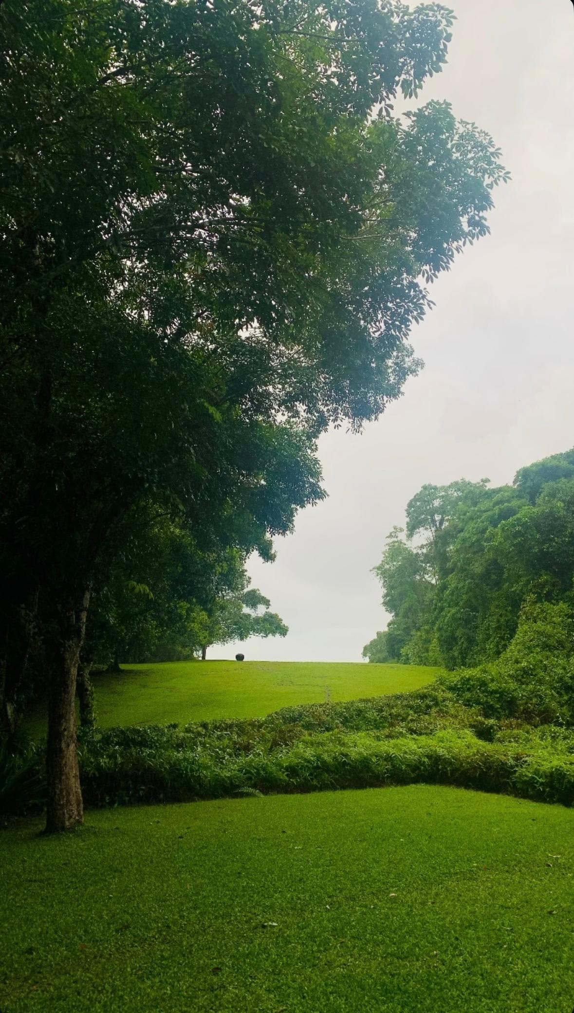 Detailed view of Buddha statue in Cave 1