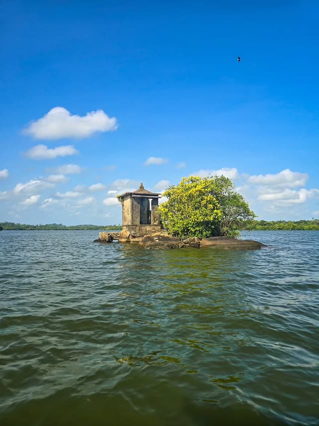 Boat safari through mangroves on Madu River with wildlife