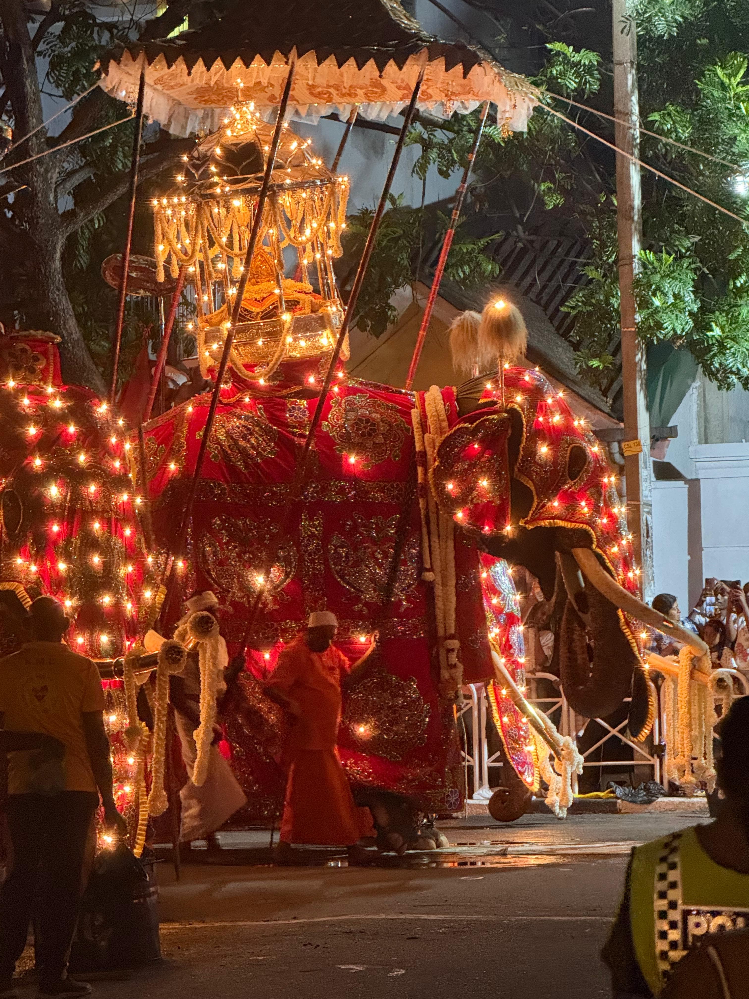 The sacred Maligawa Tusker magnificently decorated with golden cloth and lights, carrying the sacred casket containing Buddha's tooth relic
