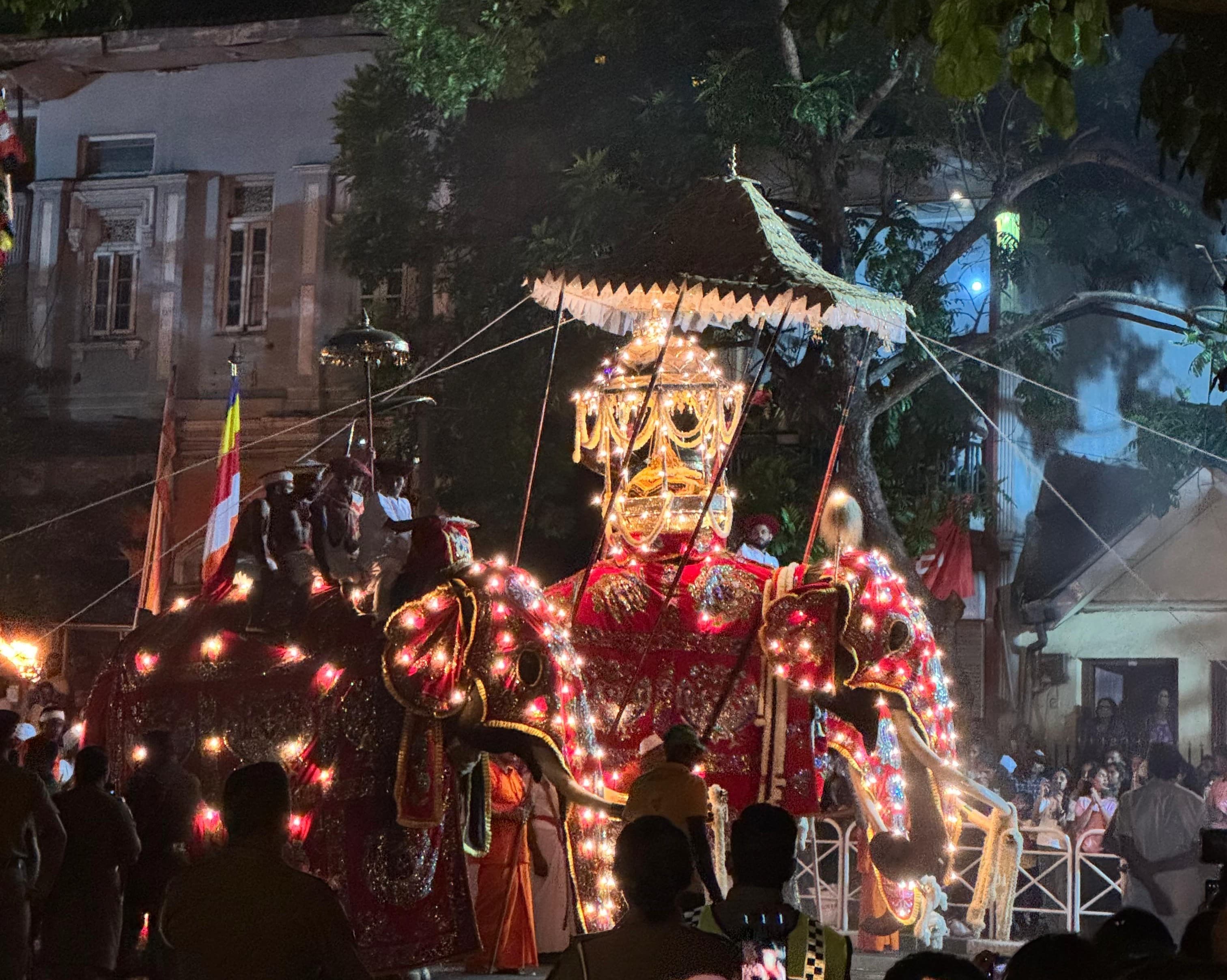The sacred Maligawa Tusker magnificently decorated with golden cloth and lights, carrying the sacred casket containing Buddha's tooth relic