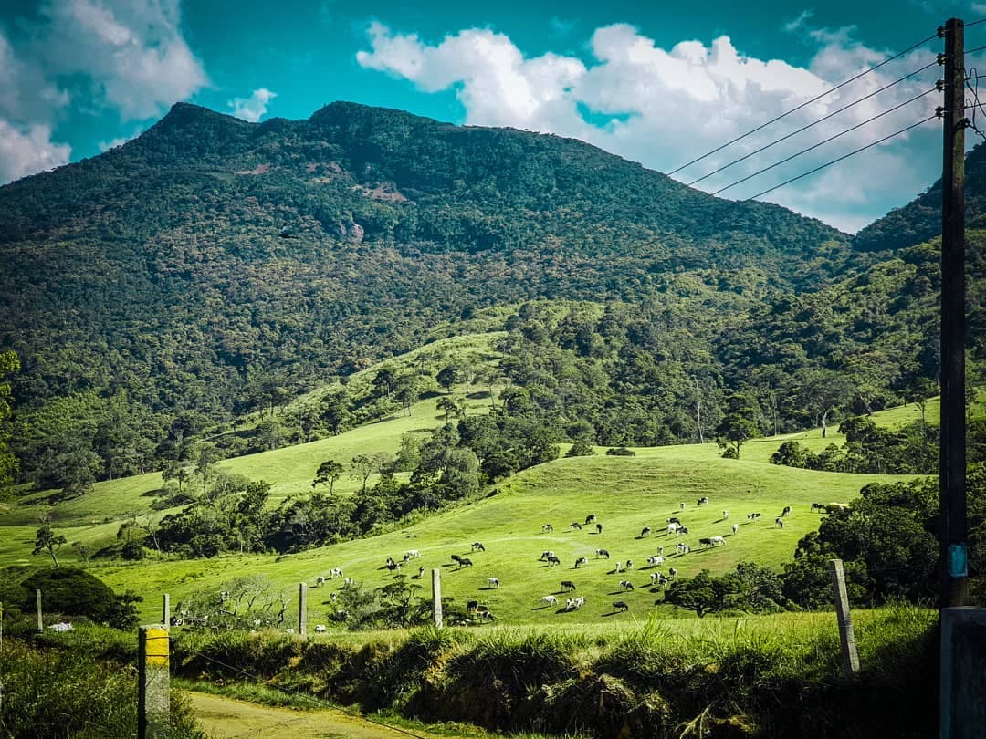 New Zealand Farm with stunning mountain views