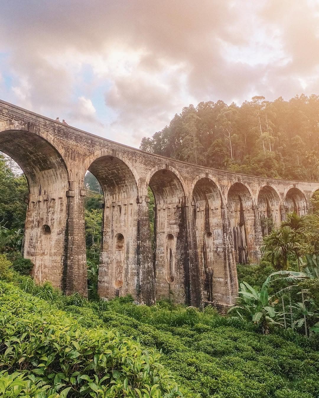 Iconic Nine Arch Bridge with train crossing through lush jungle and tea plantations