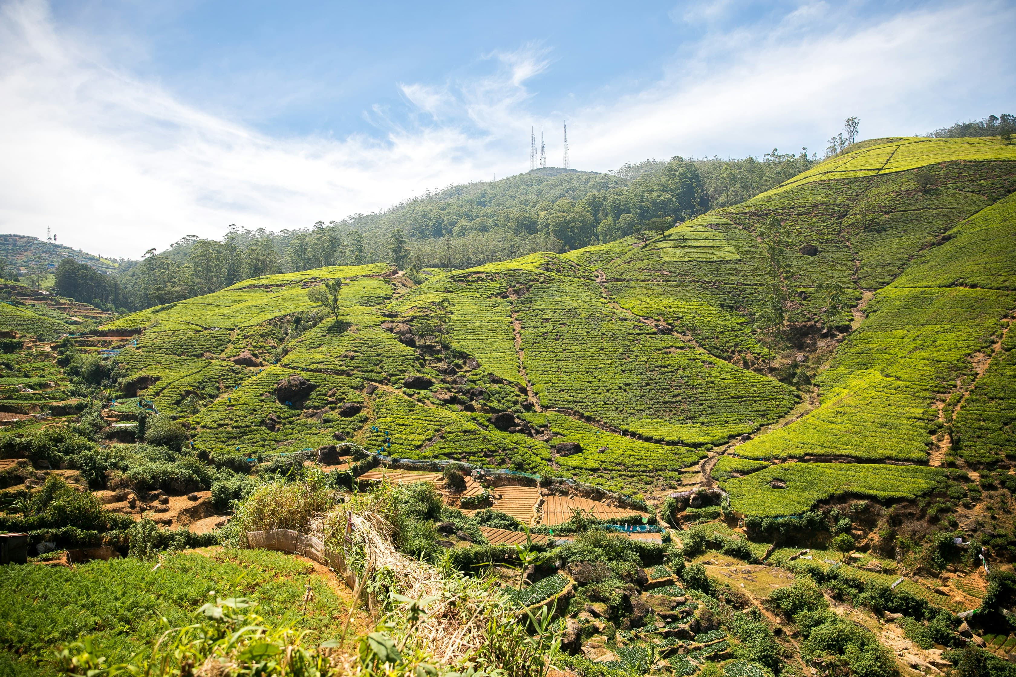 Stunning panoramic view of Nuwara Eliya showing lush green tea plantations, colonial buildings, and misty mountains
