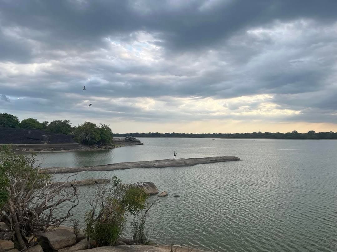Panama Tank with elephants and natural scenery