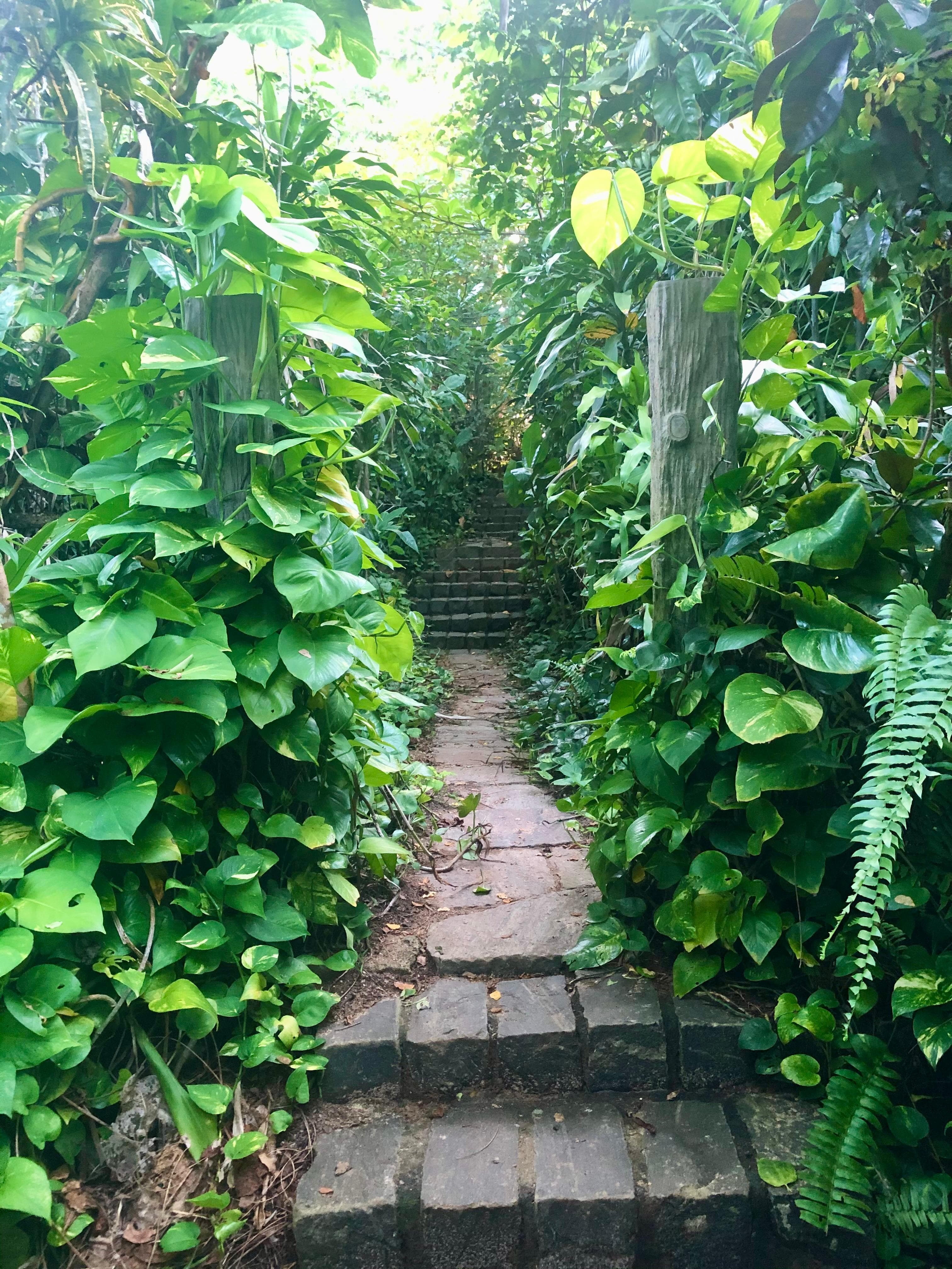 Panchakapaduwa Island