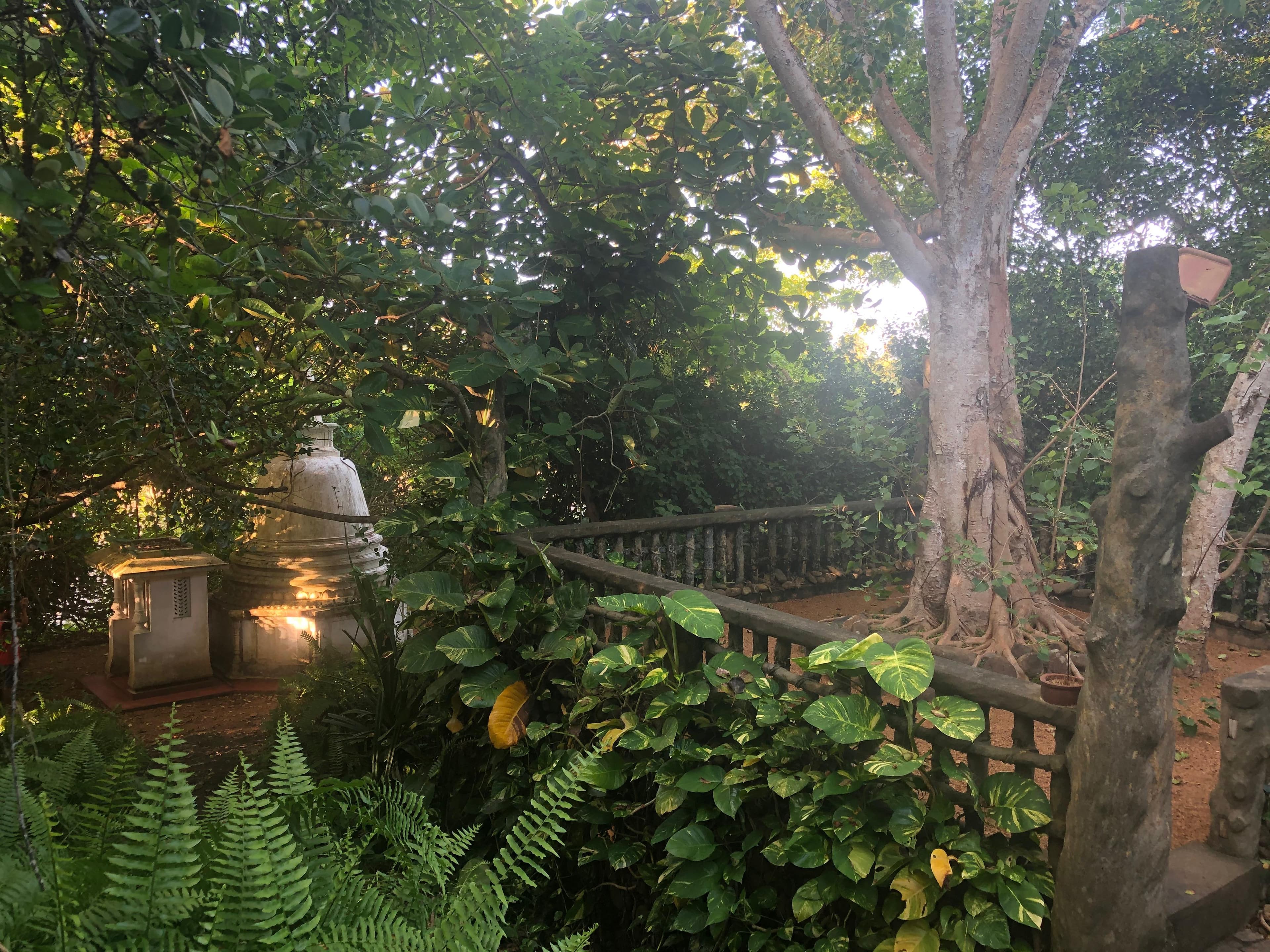 Detailed view of Buddha statue in Cave 1