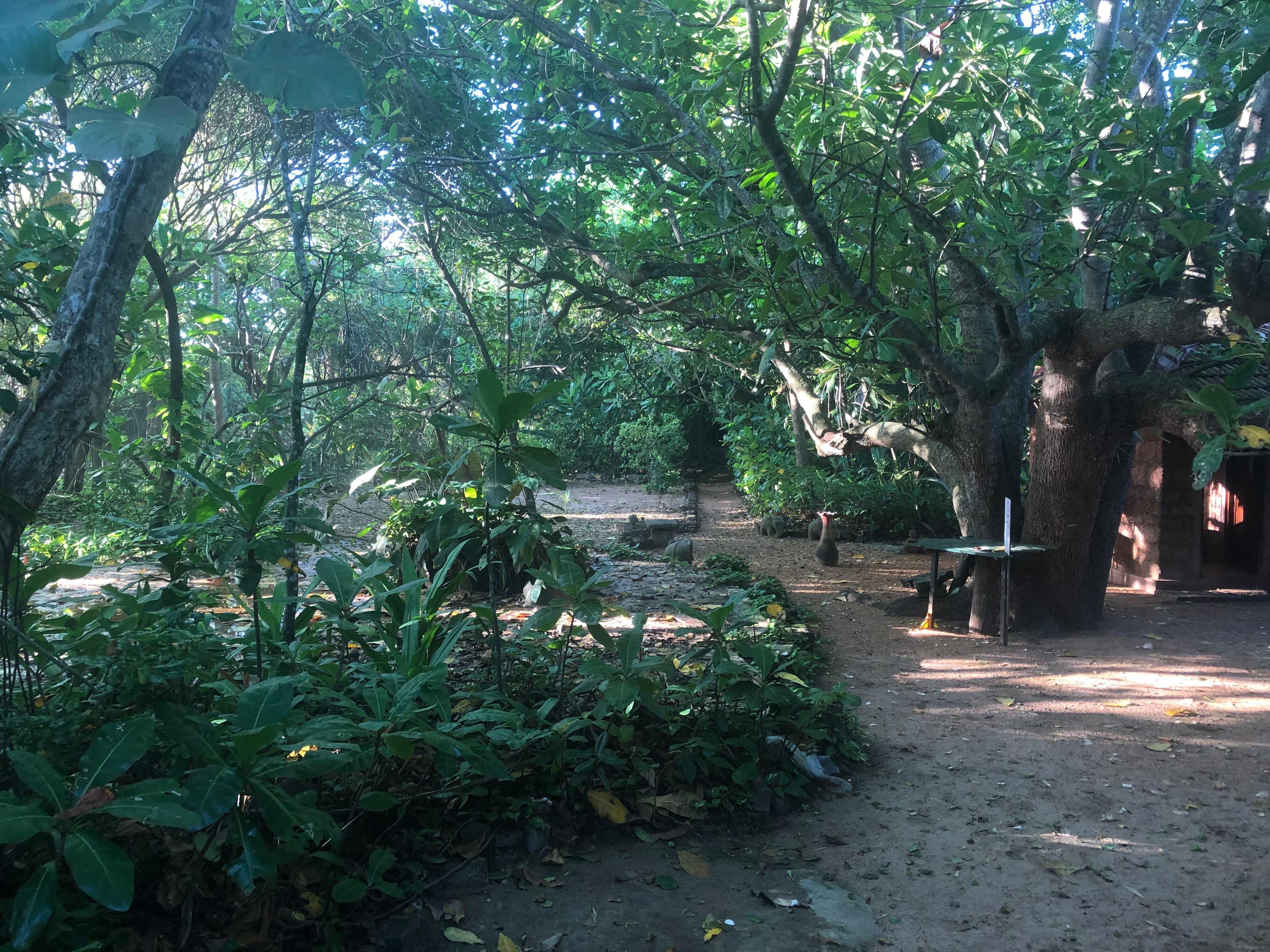 Detailed view of Buddha statue in Cave 1