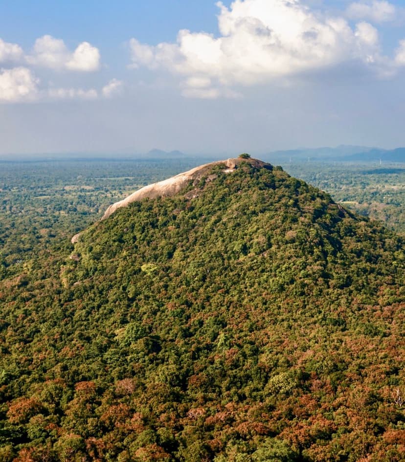 Spectacular sunrise view of Sigiriya Rock from Pidurangala summit with golden light
