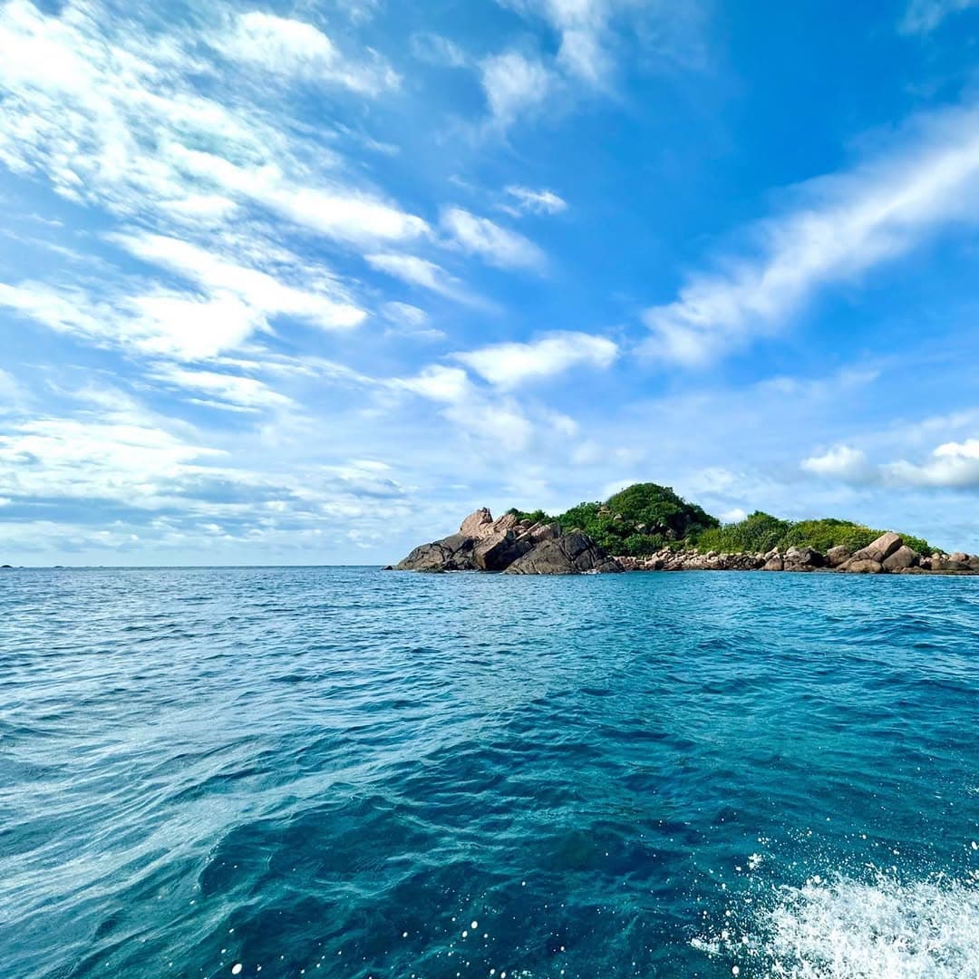 Marine life around Pigeon Island National Park