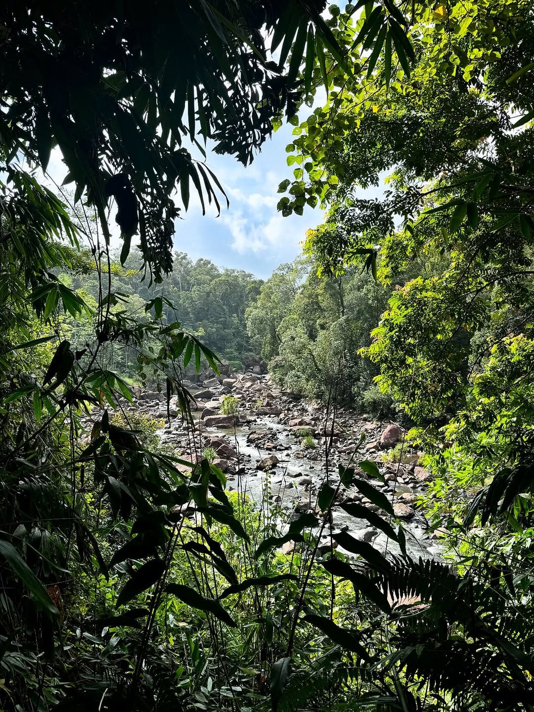 Sinharaja Forest Reserve