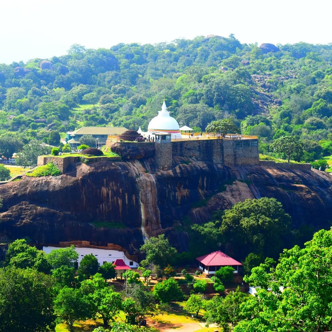 Nine Arch Bridge in Ella with train passing through lush green tea plantations