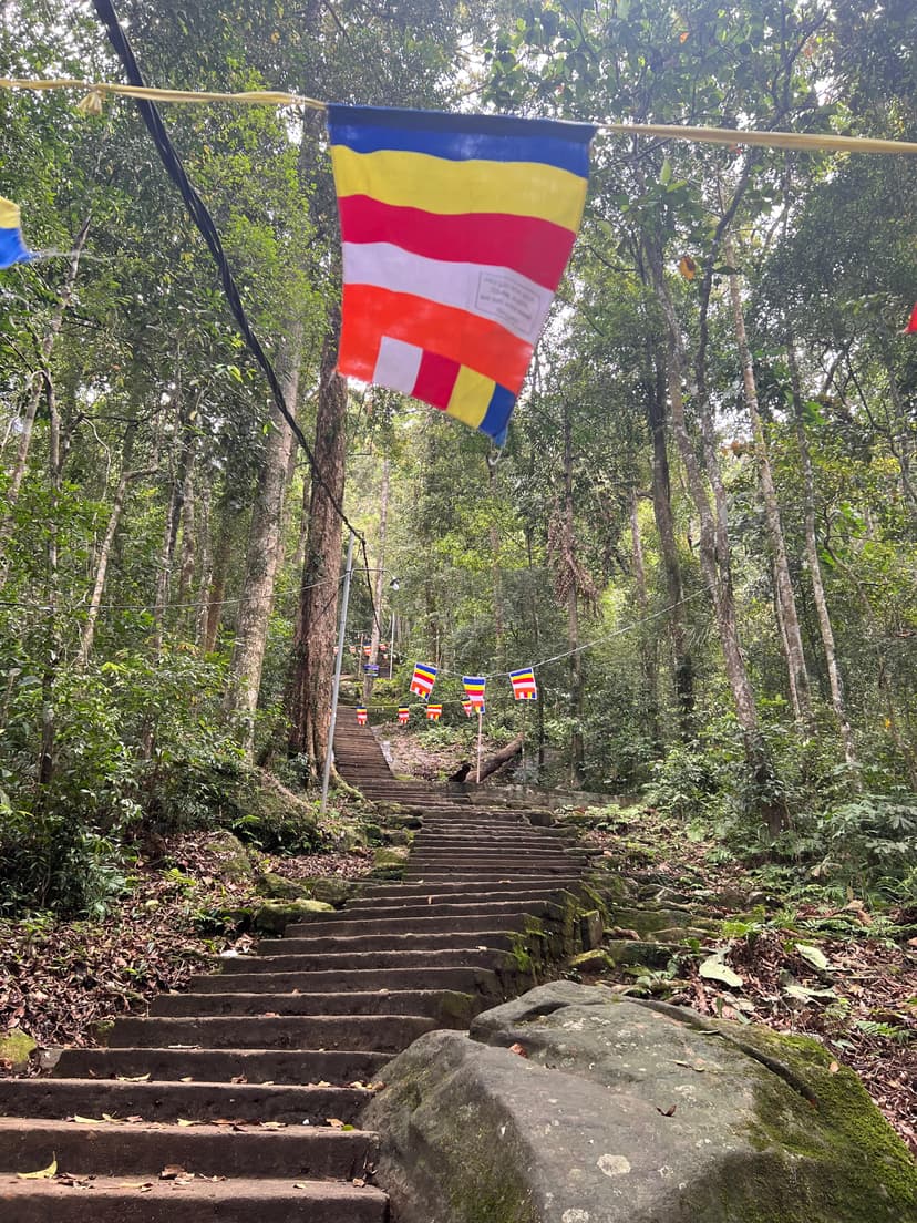 Ratnapura route through dense forest showing challenging wilderness path to Adams Peak