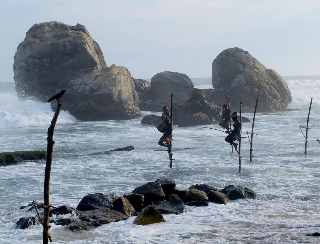 Traditional stilt fishermen of Weligama balancing on wooden poles in shallow coral reef waters during golden hour sunset