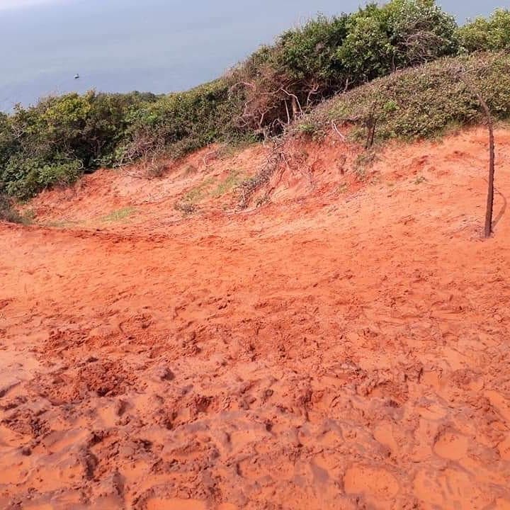 Wilpattu coastal area believed to be ancient Thambapanni, with wild beach and forest meeting the sea