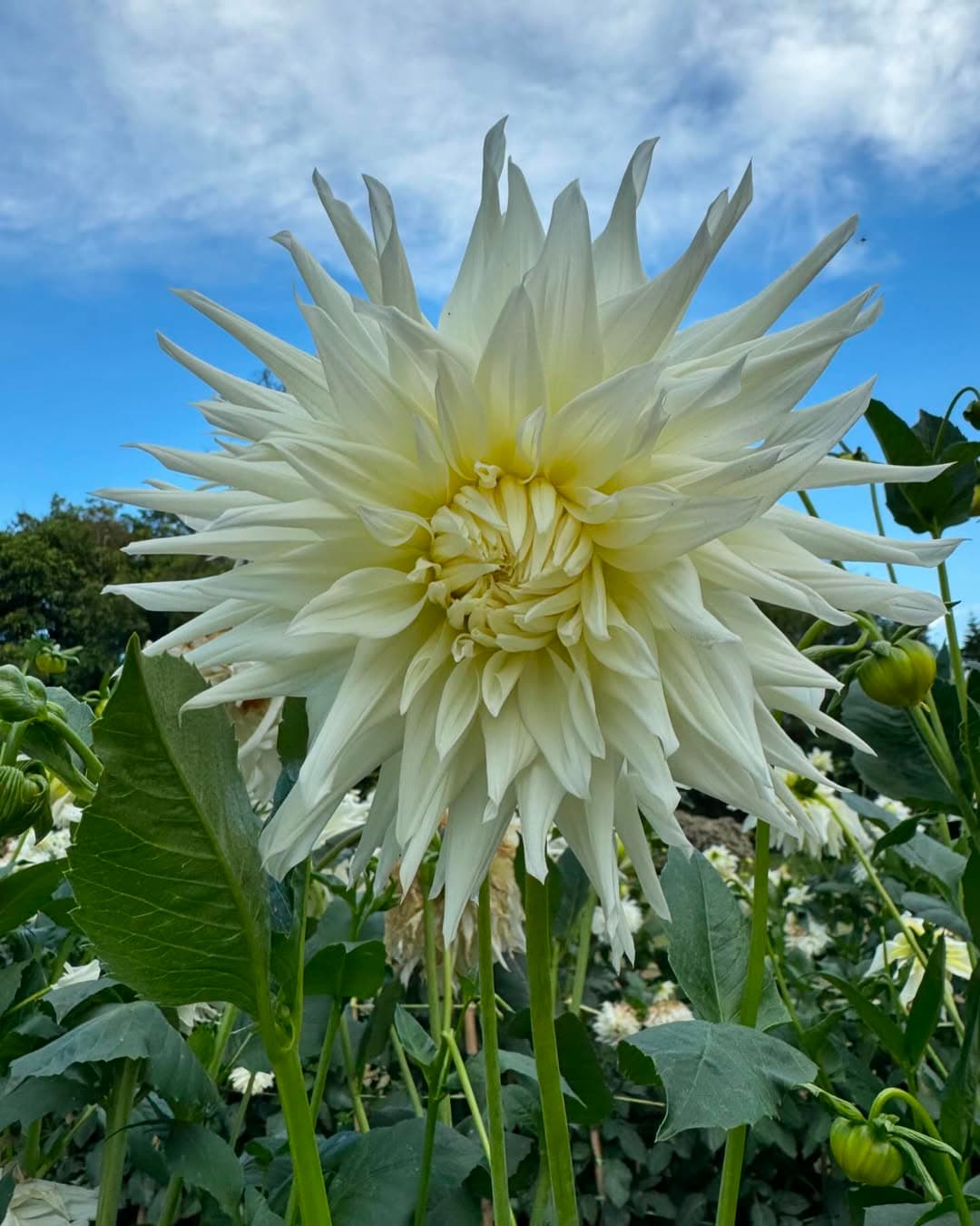 Ancient cave paintings in the first cave showing intricate Buddhist artwork