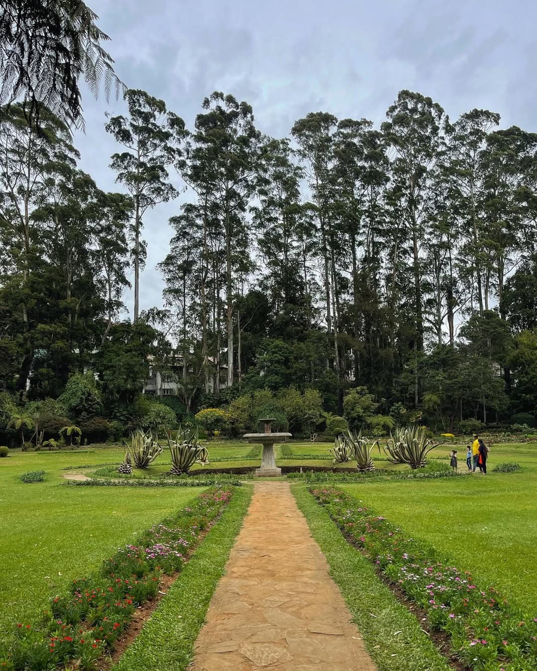 Scenic pathways and lush flora at Hakgala Botanical Garden