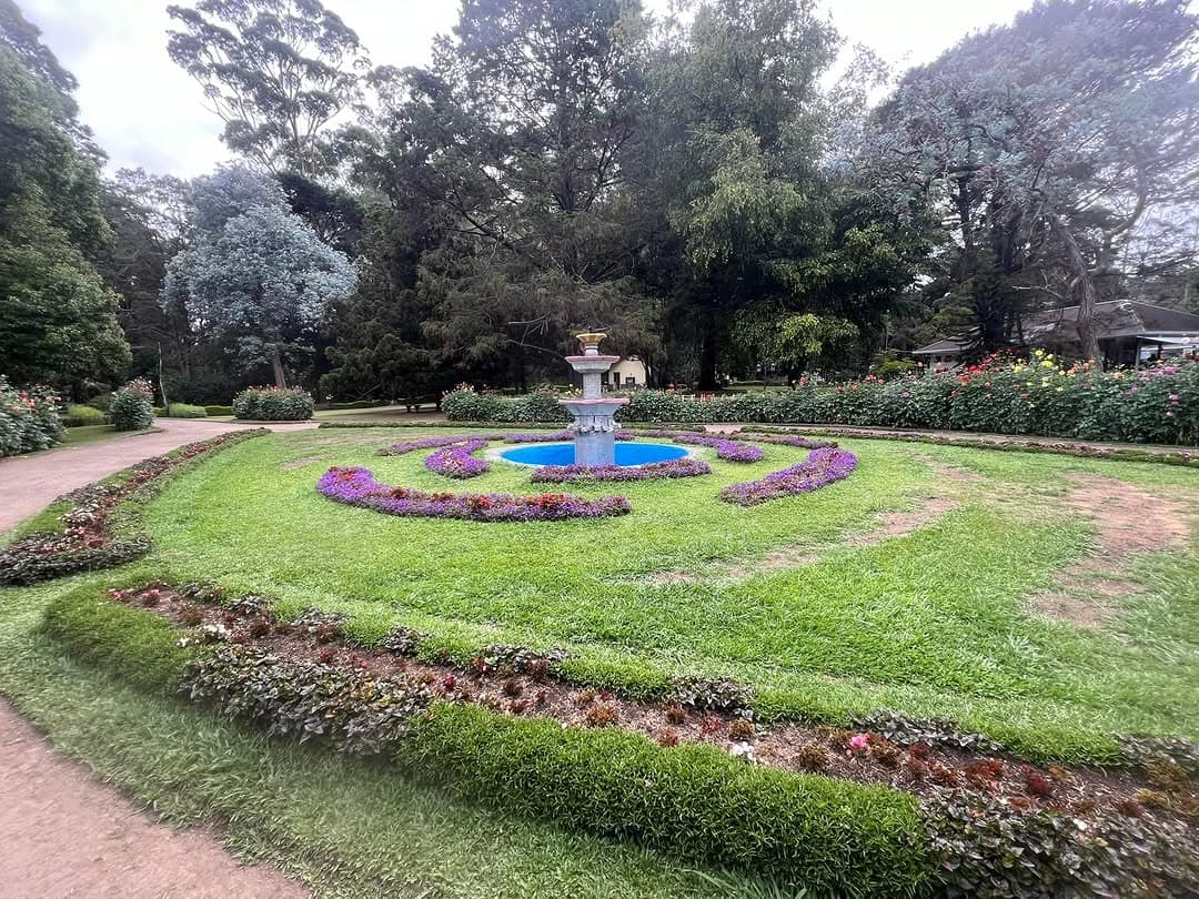 Victoria Park showcasing the beautiful botanical gardens and diverse flora
