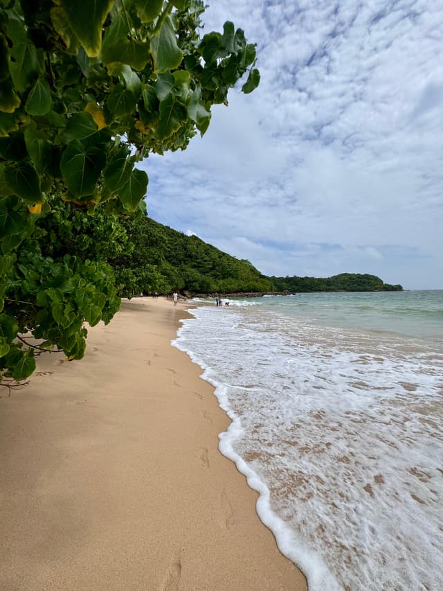 View of Jungle Beach