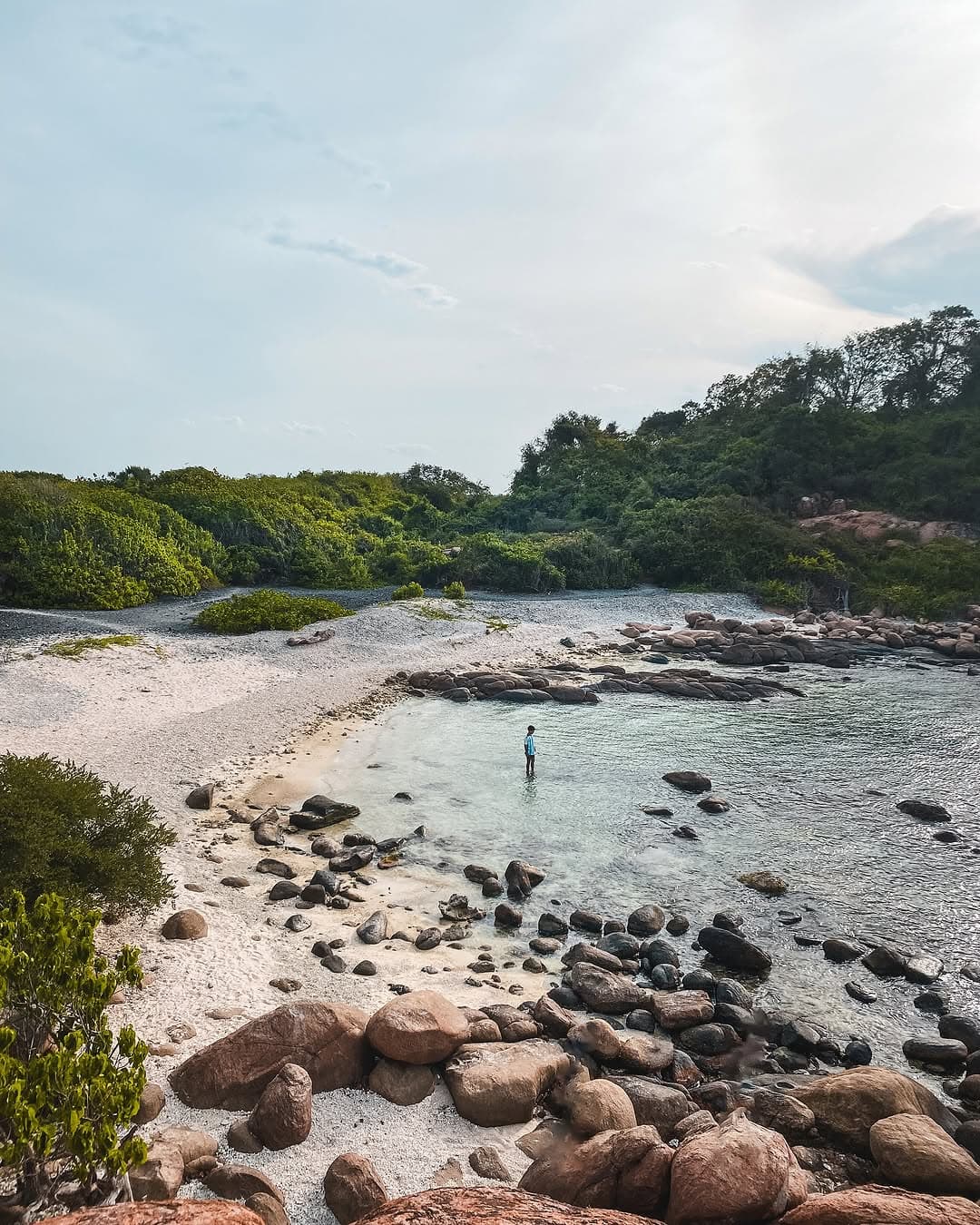 Pristine Coral Reefs