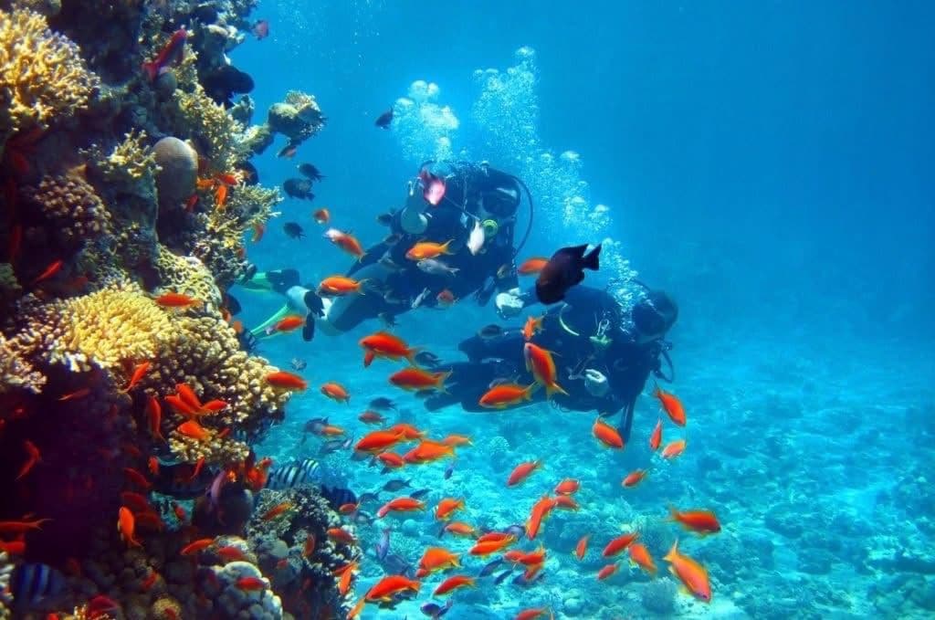 Scuba diving